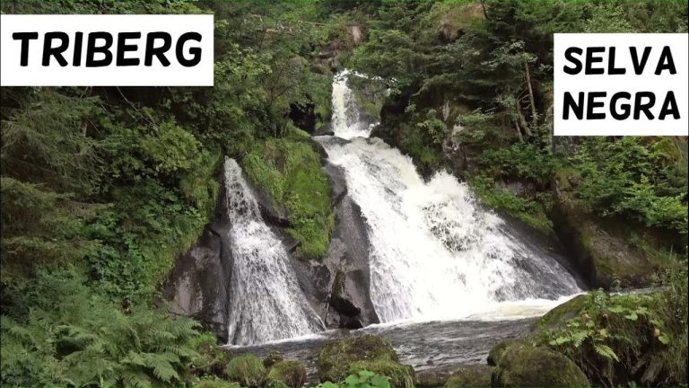 ¡Descubre el reloj de cuco gigante más impresionante en Triberg!